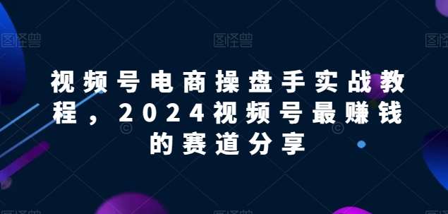 视频号电商实战教程，2024视频号最赚钱的赛道分享网创库-网创项目资源站-副业项目-创业项目-搞钱项目网创库