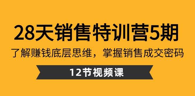 28天销售特训营5期：了解赚钱底层思维，掌握销售成交密码（12节课）网创库-网创项目资源站-副业项目-创业项目-搞钱项目网创库