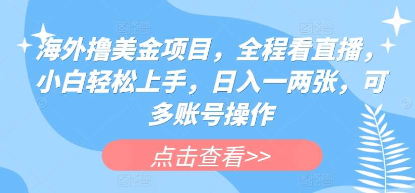海外撸美金项目，全程看直播，小白轻松上手，日入一两张，可多账号操作【揭秘】网创库-网创项目资源站-副业项目-创业项目-搞钱项目网创库