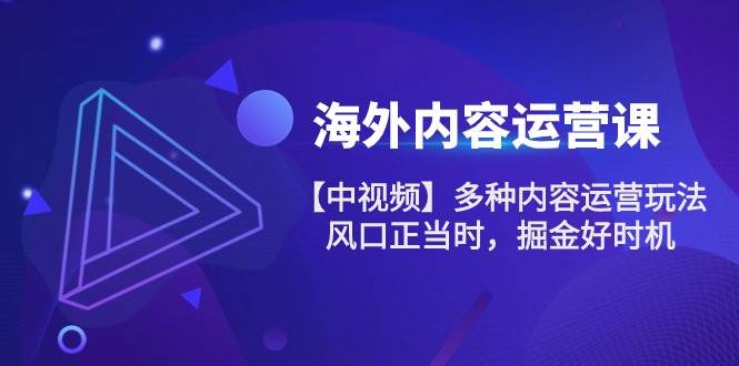 （10833期）海外内容 运营课【中视频】多种内容运营玩法 风口正当时 掘金好时机-101节网创库-网创项目资源站-副业项目-创业项目-搞钱项目网创库