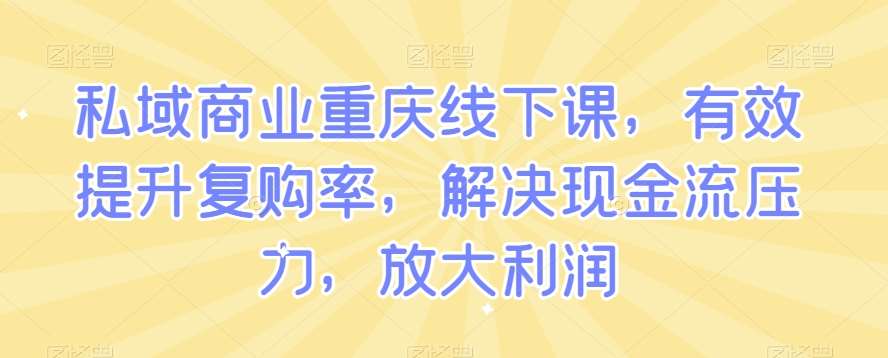 私域商业重庆线下课，有效提升复购率，解决现金流压力，放大利润网创库-网创项目资源站-副业项目-创业项目-搞钱项目网创库
