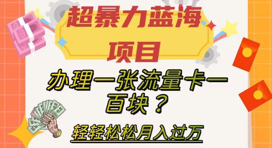超暴力蓝海项目,办理一张流量卡一百块?轻轻松松月入过万,保姆级教程【揭秘】网创库-网创项目资源站-副业项目-创业项目-搞钱项目网创库