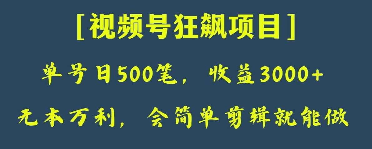 日收款500笔,纯利润3000+,视频号狂飙项目,会简单剪辑就能做【揭秘】网创库-网创项目资源站-副业项目-创业项目-搞钱项目网创库