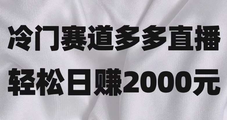冷门赛道拼多多直播,简单念稿子,日收益2000+【揭秘】网创库-网创项目资源站-副业项目-创业项目-搞钱项目网创库