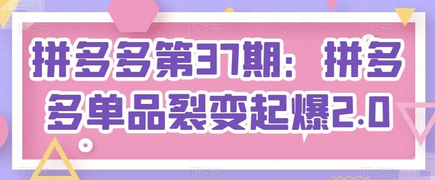 拼多多第37期：拼多多单品裂变起爆2.0网创库-网创项目资源站-副业项目-创业项目-搞钱项目网创库