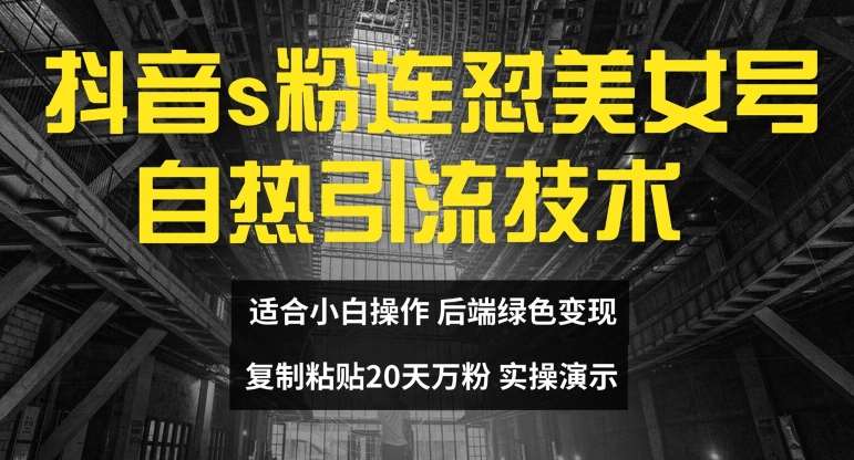 抖音s粉连怼美女号自热引流技术复制粘贴,20天万粉账号,无需实名制,矩阵操作【揭秘】网创库-网创项目资源站-副业项目-创业项目-搞钱项目网创库