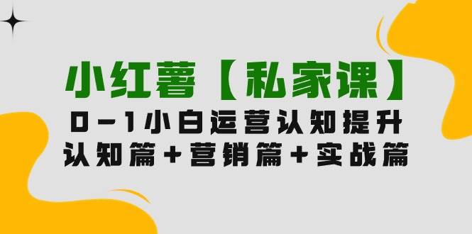 (9910期)小红薯【私家课】0-1玩赚小红书内容营销,认知篇+营销篇+实战篇(11节课)网创库-网创项目资源站-副业项目-创业项目-搞钱项目网创库