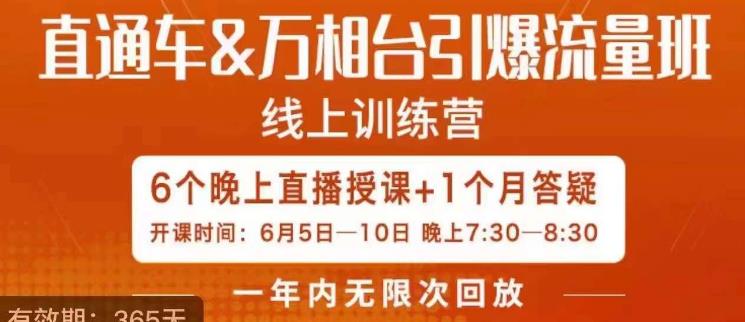 直通车&万相台引爆流量班，6天打通你开直通车·万相台的任督二脉网创库-网创项目资源站-副业项目-创业项目-搞钱项目网创库
