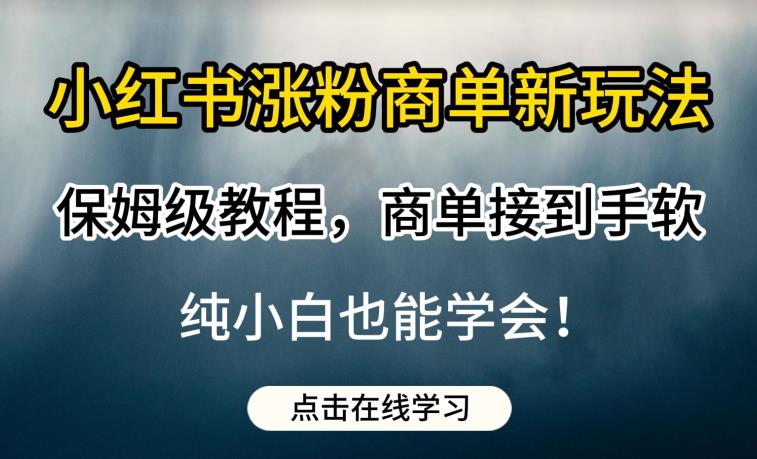 小红书涨粉商单新玩法，保姆级教程，商单接到手软，纯小白也能学会【揭秘】网创库-网创项目资源站-副业项目-创业项目-搞钱项目网创库