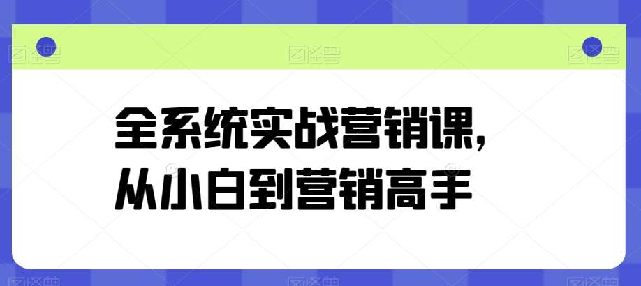 全系统实战营销课，从小白到营销高手网创库-网创项目资源站-副业项目-创业项目-搞钱项目网创库