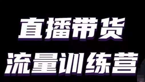 直播带货流量训练营，小白主播必学直播课网创库-网创项目资源站-副业项目-创业项目-搞钱项目网创库