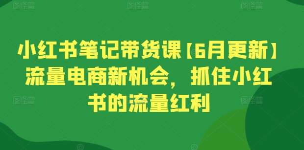 小红书笔记带货课【6月更新】流量电商新机会，抓住小红书的流量红利网创库-网创项目资源站-副业项目-创业项目-搞钱项目网创库
