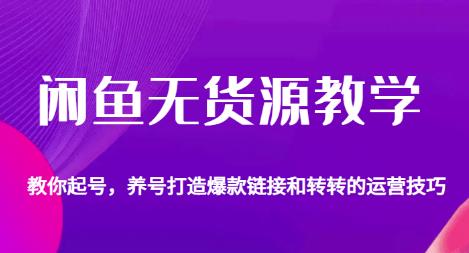 闲鱼无货源教学，教你起号，养号打造爆款链接以及转转的运营技巧网创库-网创项目资源站-副业项目-创业项目-搞钱项目网创库