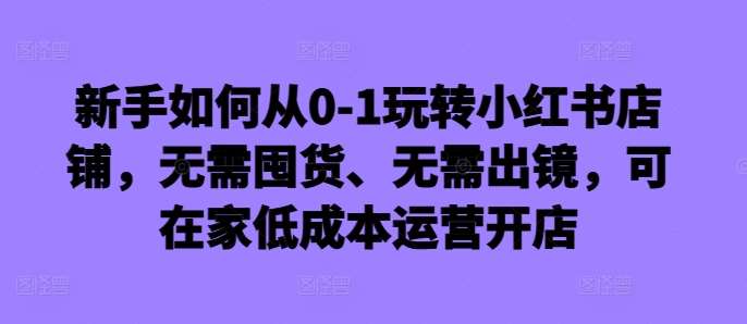 新手如何从0-1玩转小红书店铺，无需囤货、无需出镜，可在家低成本运营开店网创库-网创项目资源站-副业项目-创业项目-搞钱项目网创库