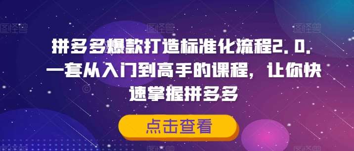 拼多多爆款打造标准化流程2.0，一套从入门到高手的课程，让你快速掌握拼多多网创库-网创项目资源站-副业项目-创业项目-搞钱项目网创库