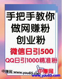 （969期）手把手教你做网赚粉，创业粉，私域流量（第一期）简单粗暴的玩法