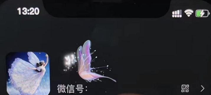 (4980期)微信动态昵称设置方法,可抖音直播引流,日赚上百【详细视频教程+素材】网创库-网创项目资源站-副业项目-创业项目-搞钱项目网创吧