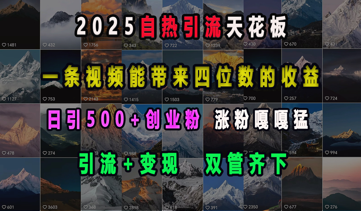 2025自热引流天花板,一条视频能带来四位数的收益,引流+变现双管齐下,日引500+创业粉,涨粉嘎嘎猛网创吧-网创项目资源站-副业项目-创业项目-搞钱项目网创吧