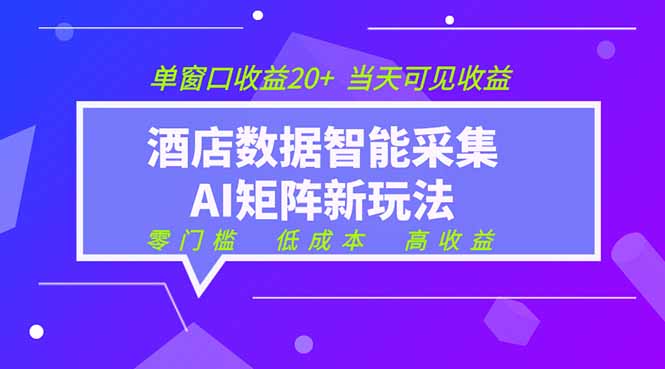 (19041期)2026酒店数据采集ai智能矩阵新风口 低成本 高收益 当天见收益 单窗口20+网创库-网创项目资源站-副业项目-创业项目-搞钱项目网创吧