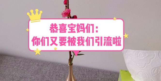 (5891期)恭喜宝妈们:你们又要被我们引流了(教程+222g资料)
