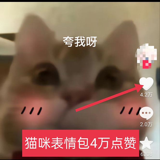 (5498期)黑科技纯原创可爱猫咪图片,全网精准引流,实操5个VX号被加频繁网创吧-网创项目资源站-副业项目-创业项目-搞钱项目网创吧