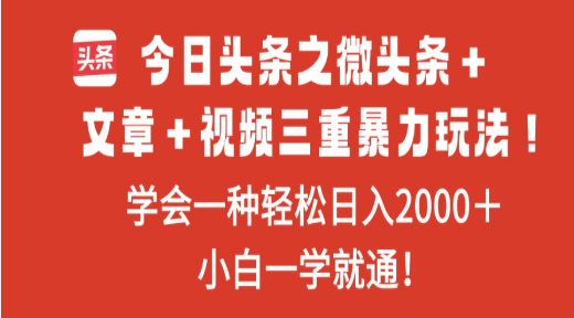 今日头条之微头条+文章+视频三重暴力玩法,学会一种轻松日入2000+网创库-网创项目资源站-副业项目-创业项目-搞钱项目网创吧