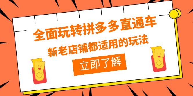 （6294期）全面玩转拼多多直通车，新老店铺都适用的玩法（12节精华课）网创吧-网创项目资源站-副业项目-创业项目-搞钱项目网创吧