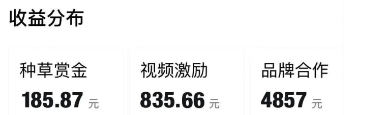 得物视频号创作者激励计划,2024年最新骚操作,新平台新玩法,视频收益大,1万播放150+,小白轻松上手网创库-网创项目资源站-副业项目-创业项目-搞钱项目网创吧