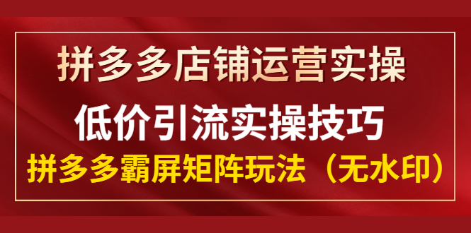 (1342期)拼多多店铺运营实操,低价引流实操技巧,拼多多霸屏矩阵玩法(无水印)