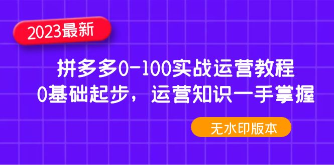 (4835期)2023拼多多0-100实战运营教程,0基础起步,运营知识一手掌握(无水印)
