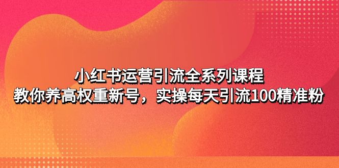 (4950期)小红书运营引流全系列课程:教你养高权重新号,实操每天引流100精准粉