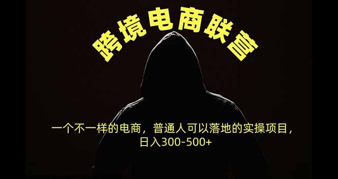 (20702期)跨境电商联营,一个不一样的电商,普通人可操作日入300-500+网创库-网创项目资源站-副业项目-创业项目-搞钱项目网创吧