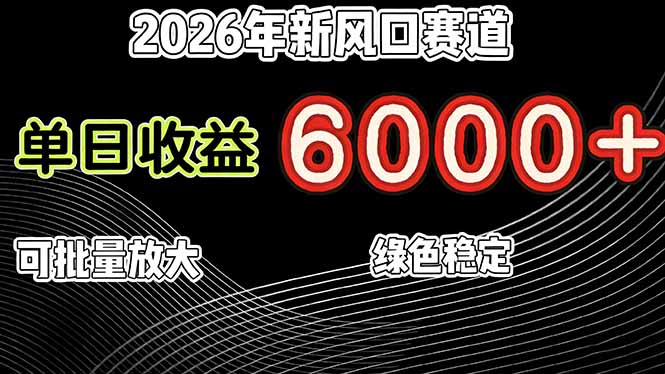 (17135期)2026年新风口赛道,当日6000+以上,可批量放大,月收入20万+,长期绿色稳定的项目网创吧-网创项目资源站-副业项目-创业项目-搞钱项目网创吧