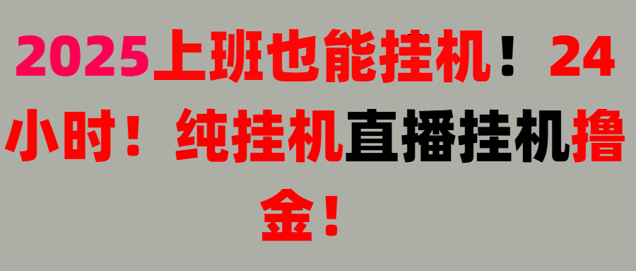 新手也能简单上手！零基础！上班也能挂机！24小时纯挂机！直播挂机撸金！网创库-网创项目资源站-副业项目-创业项目-搞钱项目网创吧