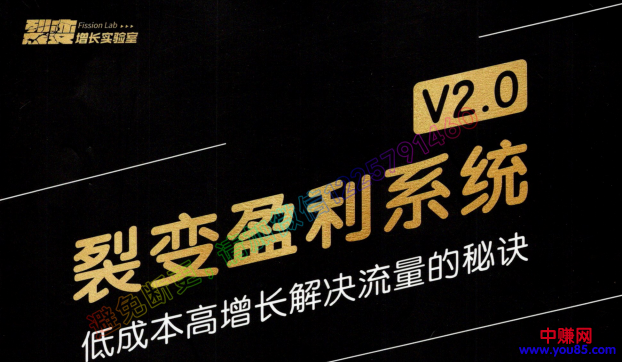 （955期）低成本高增长解决流量的秘诀《裂变盈利系统V2.0》视频+文档