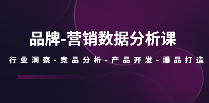 （5565期）品牌-营销数据分析课，行业洞察-竞品分析-产品开发-爆品打造网创吧-网创项目资源站-副业项目-创业项目-搞钱项目网创吧