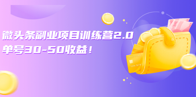 (2549期)微头条副业项目训练营2.0:单号30-50收益!