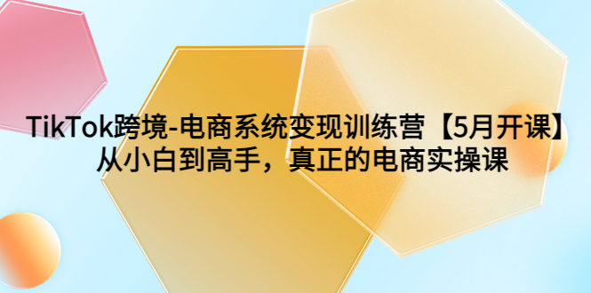 (6058期)TikTok跨境-电商系统变现训练营【5月新课】从小白到高手,真正的电商实操课网创吧-网创项目资源站-副业项目-创业项目-搞钱项目网创吧