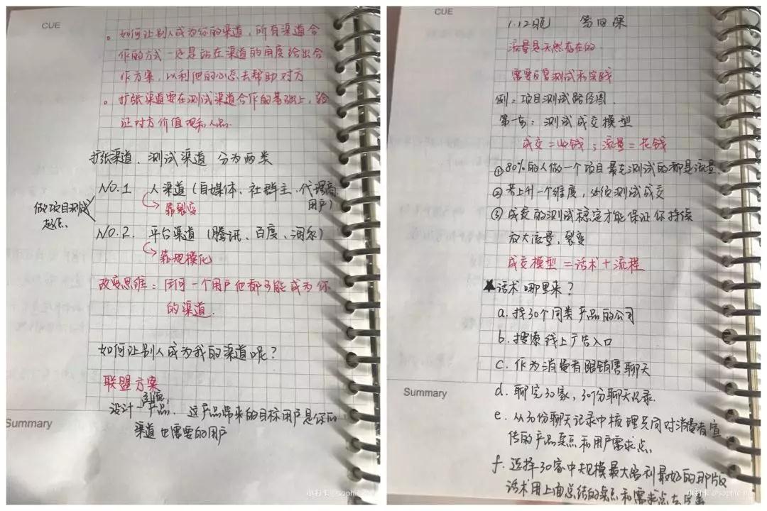 （1317期）14天裂变盈利系统训练营：靠裂变营销实现30天收款1200万（无水印）