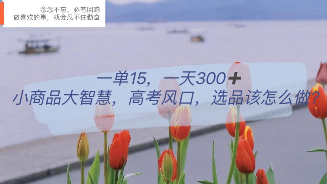 （6077期）一单15，一天300+，小商品大智慧，高考风口，选品该怎么布局网创吧-网创项目资源站-副业项目-创业项目-搞钱项目网创吧