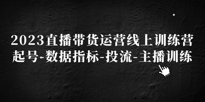 （5122期）2023直播带货运营线上训练营，起号-数据指标-投流-主播训练网创吧-网创项目资源站-副业项目-创业项目-搞钱项目网创吧