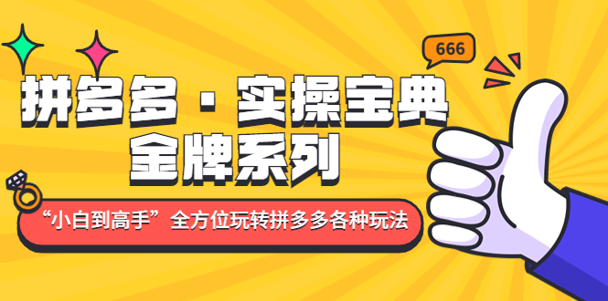 （4934期）拼多多·实操宝典：金牌系列“小白到高手”带你全方位玩转拼多多各种玩法网创库-网创项目资源站-副业项目-创业项目-搞钱项目网创吧