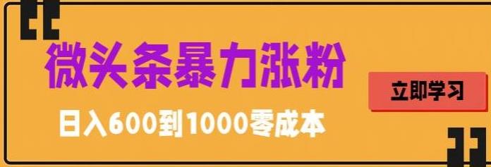 (5950期)微头条暴力涨粉技巧搬运文案就能涨几万粉丝,简单0成本,日赚600网创吧-网创项目资源站-副业项目-创业项目-搞钱项目网创吧