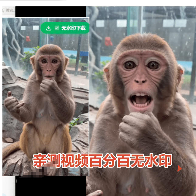 (19358期)豆包无水印下载终于来了!支持豆包图片/视频,目前唯一免费使用的插件,浏览器拓展网创库-网创项目资源站-副业项目-创业项目-搞钱项目网创吧
