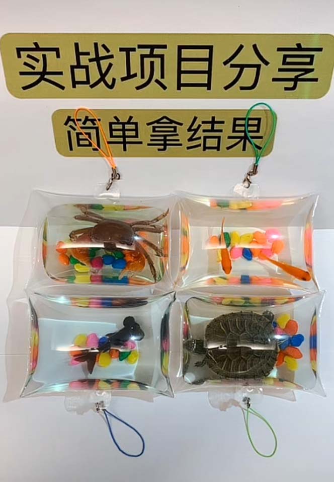 (5392期)最近抖音很火的泡泡鱼手工小成本地摊创业项目,日賺500+项目课程解析网创吧-网创项目资源站-副业项目-创业项目-搞钱项目网创吧
