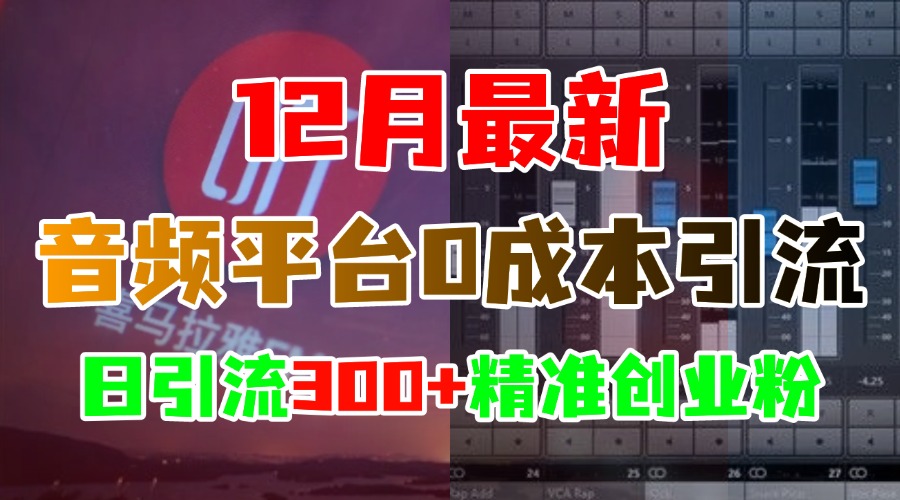 12月最新:音频平台0成本引流,日引300+精准创业粉网创库-网创项目资源站-副业项目-创业项目-搞钱项目网创吧
