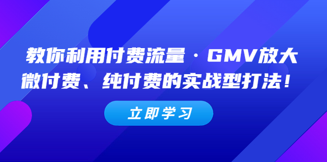 (5106期)教你利用付费流量·GMV放大,微付费、纯付费的实战型打法!网创吧-网创项目资源站-副业项目-创业项目-搞钱项目网创吧