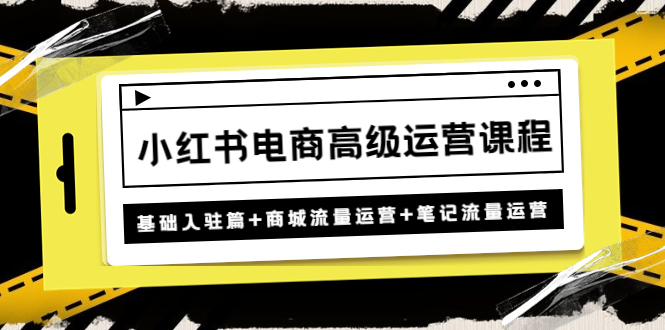 (4638期)小红书电商高级运营课程:基础入驻篇+商城流量运营+笔记流量运营网创吧-网创项目资源站-副业项目-创业项目-搞钱项目网创吧