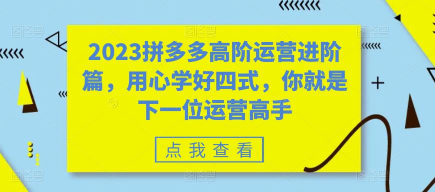 （6193期）2023拼多多高阶运营进阶篇，用心学好四式，你就是下一位运营高手网创吧-网创项目资源站-副业项目-创业项目-搞钱项目网创吧