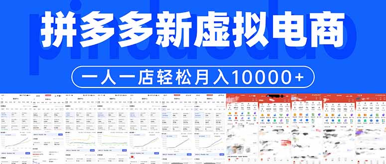 (17978期)拼多多虚拟电商一人一店轻松月入10000+